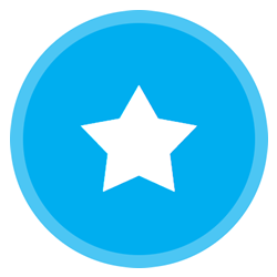 IDEX values Excellence